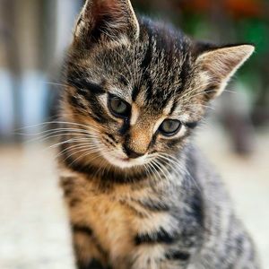 Meet your Posher, Ericka